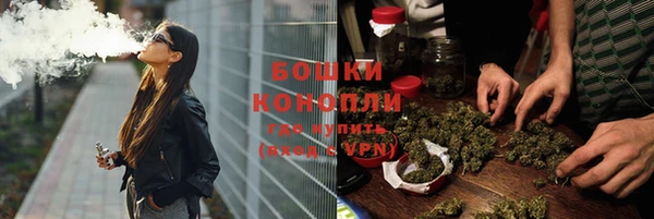 индика Каменногорск