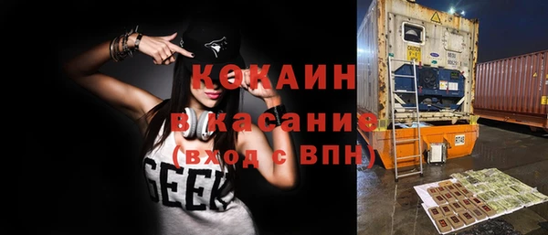 индика Каменногорск