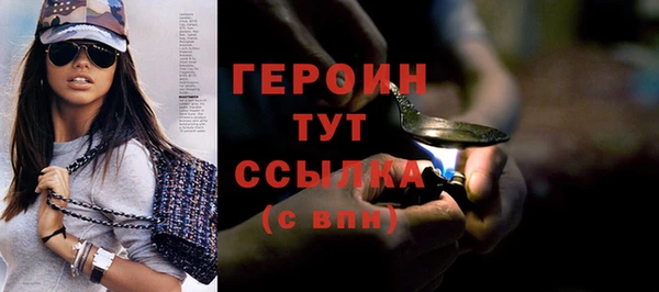 индика Каменногорск