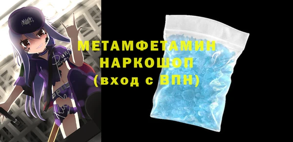 индика Каменногорск