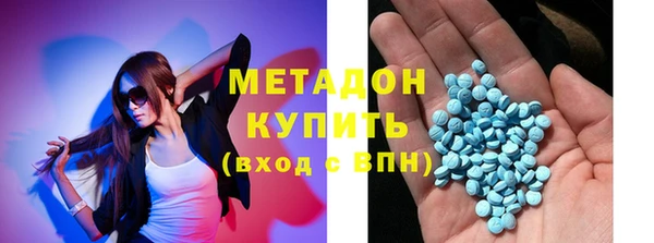 индика Каменногорск