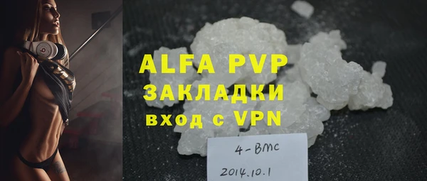 индика Каменногорск