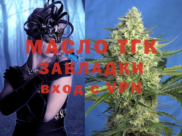 индика Каменногорск