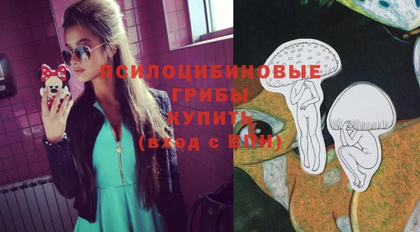 индика Каменногорск