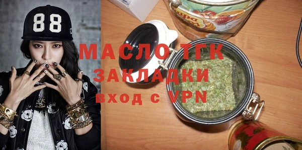 индика Каменногорск