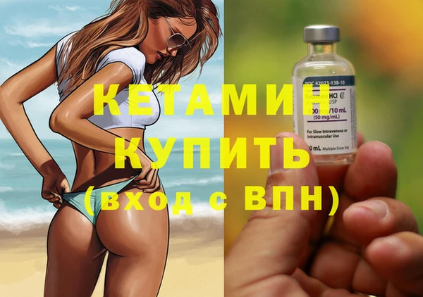 индика Каменногорск