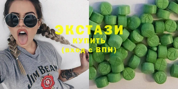 индика Каменногорск