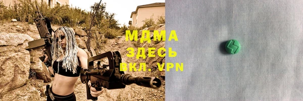 индика Каменногорск