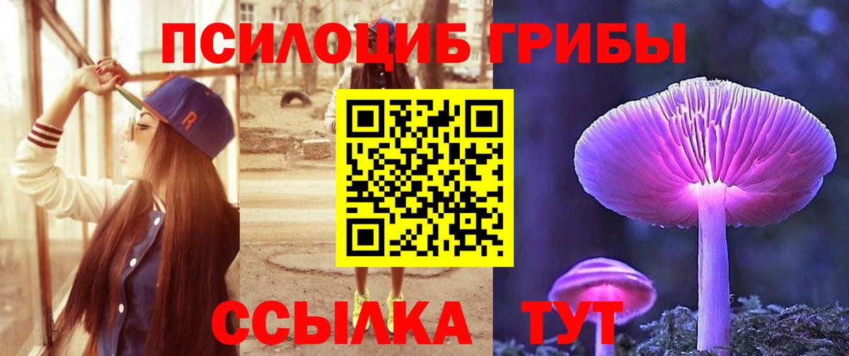 где купить наркоту  Вход с VPN  Одинцово  Псилоцибиновые грибы прущие грибы 