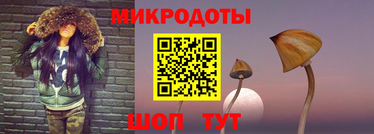 Галлюциногенные грибы Psilocybine cubensis Одинцово